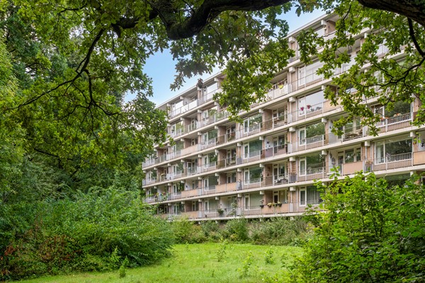 Medium property photo - Frans Halslaan 61, 2343 EB Oegstgeest